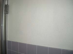 浴室クリーニングで黒カビを除去した壁です