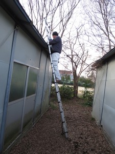 屋根に溜まった落ち葉撤去